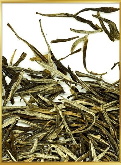 Tealand Premium Yellow Tea Bud Rare Antioxidant Rich Flavor Flowery Sweet Medium Caffeinated 100g