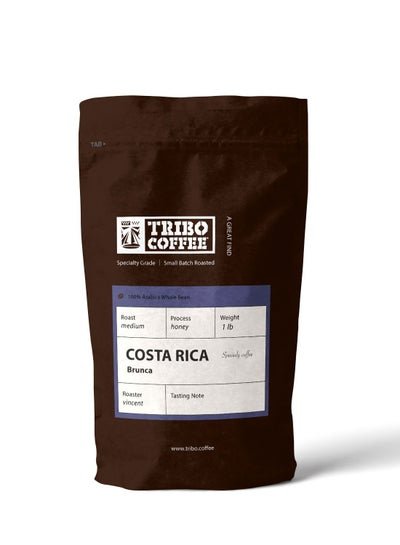 Tribo Coffee Costa Rica Roasted Specialty Arabica Coffee Beans 225gm