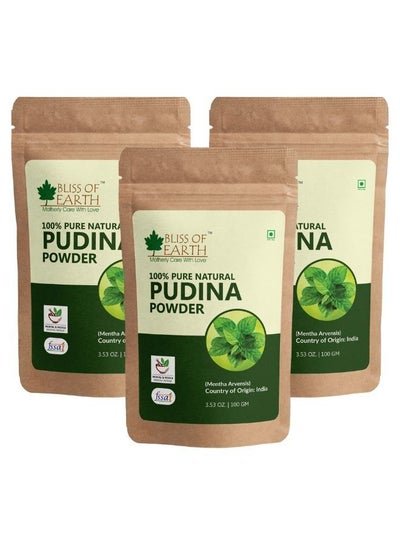 BLISS OF EARTH 100% Pure & Natural Pudina Powder (Mint Powder) 100GM Excellent Flavor Great for Use in Beverages South Indian & Chinese Dishes Mexican Salsa Chutney & Much More Pack of 3